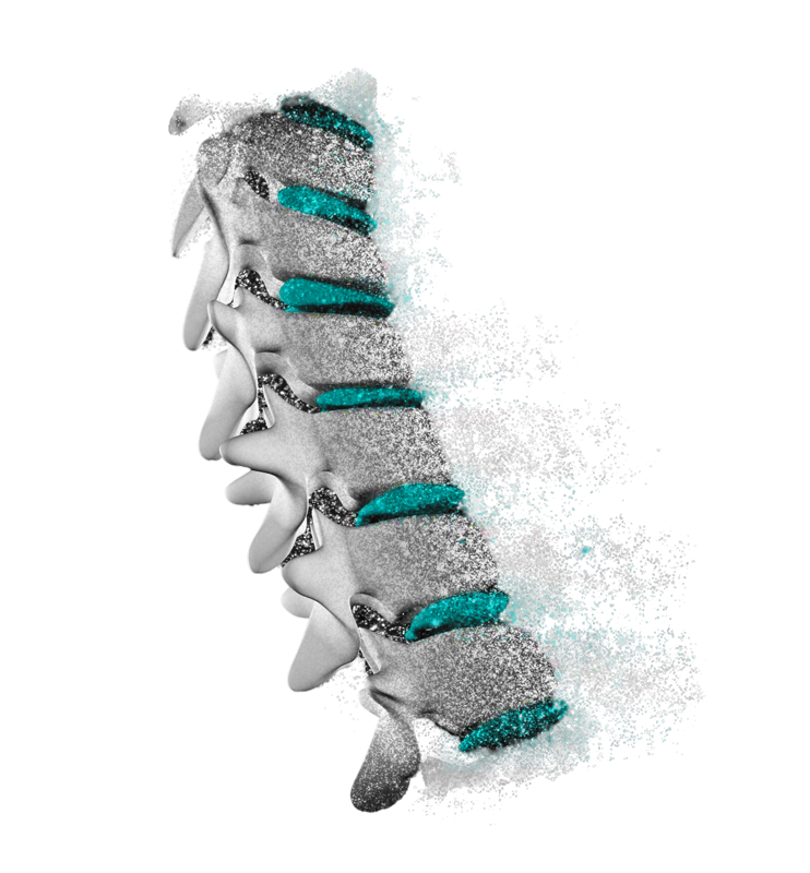 vertebrale